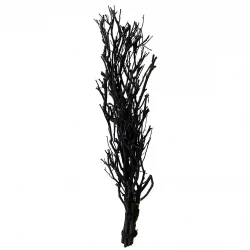 Björkgrenar, sammanbundna, 77cm, svart