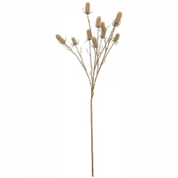 Vävarkarda, Dipsacus sativus, beige, 150cm, konstgjord väkst