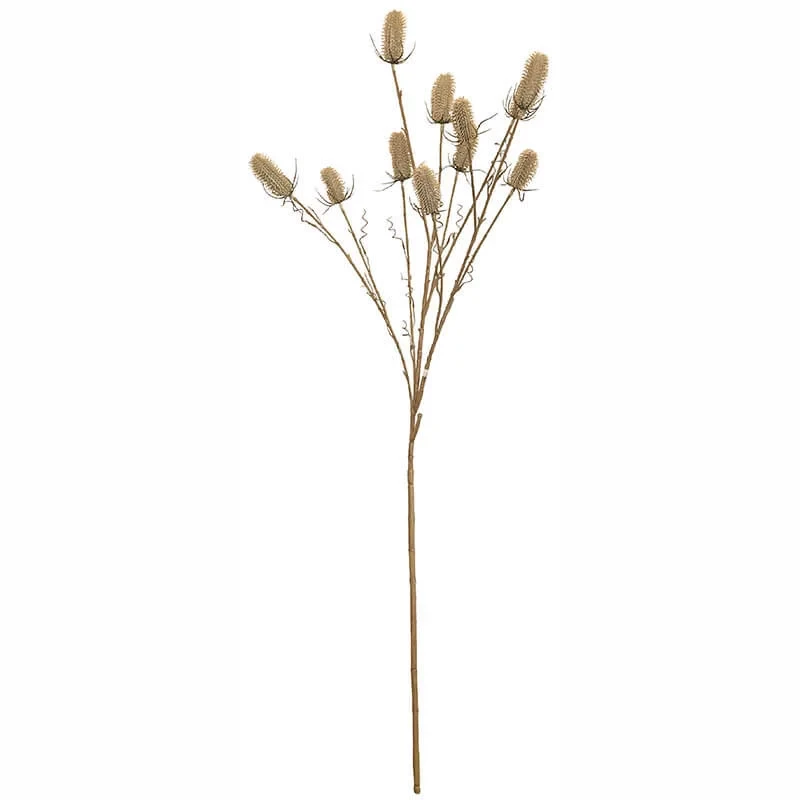 Vävarkarda, Dipsacus sativus, beige, 150cm, konstgjord väkst