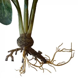 Vattenväxt med rötter, caladium, 40cm, konstgjord växt