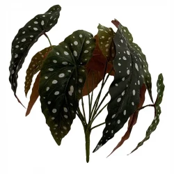 Kungsbegonia på stjälk, 33cm, konstgjord växt