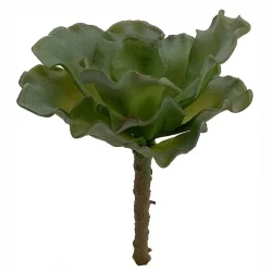 Suckulent, Echeveria på stjälk, 12cm, konstgjord växt