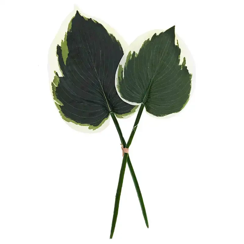 Hostablad, 2 st, grön och vit, konstgjorda blad