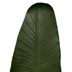Bananblad 110 cm, konstgjort blad
