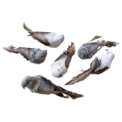 Fåglar på klämmor, 6 st, konstgjorda fåglar