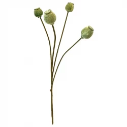 Vallmo på stjälk, grön, 59cm, konstgjord blomma