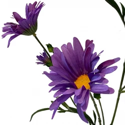 Asters på stjälk, lila, 70cm, konstgjord blomma