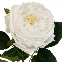 Ros på stjälk, vit, 60 cm, konstgjord blomma