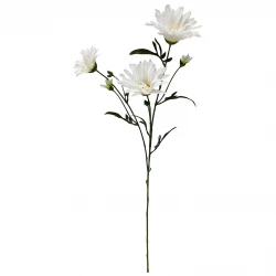 Asters på stjälk, vit, 70cm, konstgjord blomma