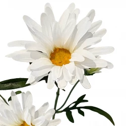 Asters på stjälk, vit, 70cm, konstgjord blomma