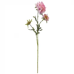 Scabiosa blomma, rosa, 77cm, konstgjord blomma