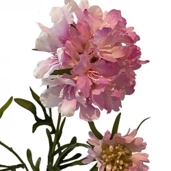 Scabiosa blomma, rosa, 77cm, konstgjord blomma