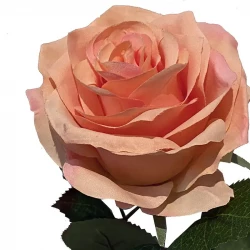 Ros Dijon, peach, 64cm, konstgjord blomma