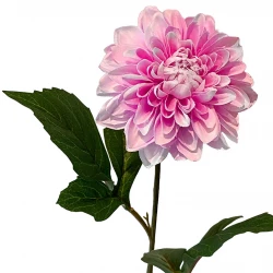 Dahlia på stjälk, rosa, 50cm, konstgjord blomma