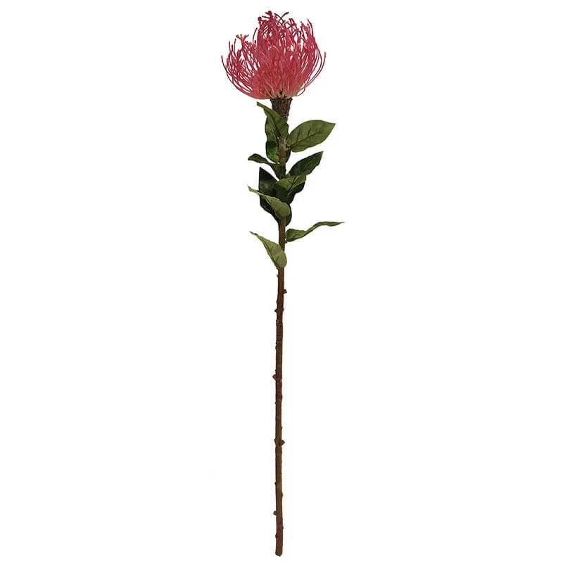 Protea-blomma, 74cm Orange/Röd, Konstgjord blomma