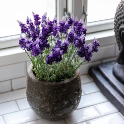 Lavendelbukett, 40 cm, Konstgjord växt