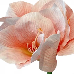 Amaryllis, persika, 60cm, konstgjord blomma