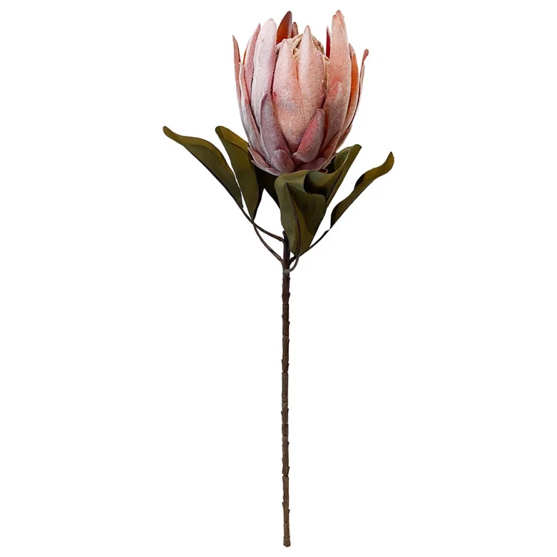 Protea, XL, persika, 62cm, konstgjord blomma