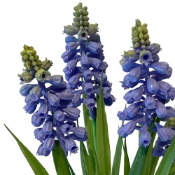 Pärlhyacint, 4 st, blå, 28 cm, konstgjord blomma