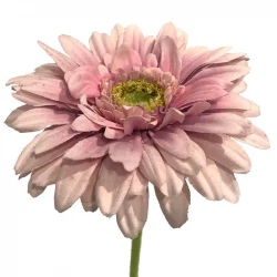 Gerbera på stjälk 48 cm Rosa/Laxfärgad, konstgjord blomma