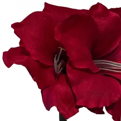 Amaryllis, röd, 99cm, konstgjord blomma