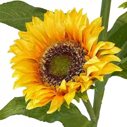 Solros på stjälk med 3 blommor, 85 cm, konstgjord blomma