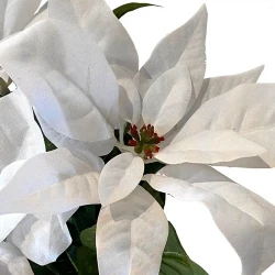 Julstjärna, vit, 32cm, konstgjord blomma