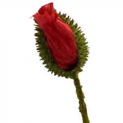 Vallmo, H:70 cm, sluten knopp, konstgjord blomma