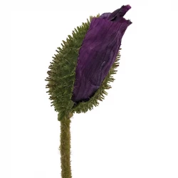 Vallmo, H: 70 cm, slutet blomhuvud, konstgjord blomma