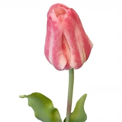 Tulpan, pink, 48 cm, konstgjord blomma