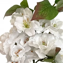 Äppelgren, vita blommor, 80 cm, konstgjord gren
