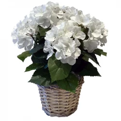 Hortensia vit, i flätkorg, 45cm, konstgjord blomma