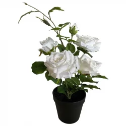 Ros i kruka, 25cm, vit, konstgjord blomma