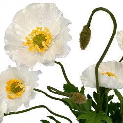 Vallmobukett, vit, 36cm, konstgjord blomma