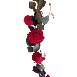 Rosranka, med 8 rosor, Röd, 145cm, konstgjord ranka