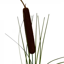 Kaveldun, 90cm, konstgjord växt