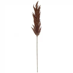 Pampasgräs stjälk, brun, 115cm