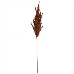 Pampasgräs stjälk, brun, 92cm