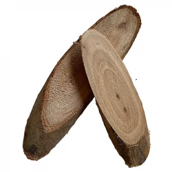Träskivor, ovala, 10-12cm, äkta trä