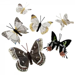 Fjärilar, 6 st., m klips