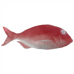 Fisk Havsruda, 36cm, konstgjord fisk