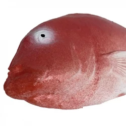 Fisken (Havsruda), konstgjort djur