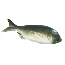 Fisk, Havsruda, 38cm, konstgjord fisk