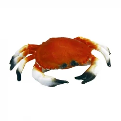 Krabba (stor), konstgjort djur