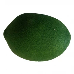 Lime, konstgjord frukt