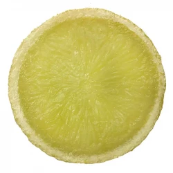 Citron i skivor, 6 st. konstgjord mat