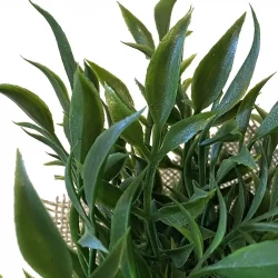 Järnek i jutepåse, 20cm, konstgjord växt