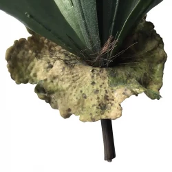 Älghornsblad (Platycerium), Konstgjord växt