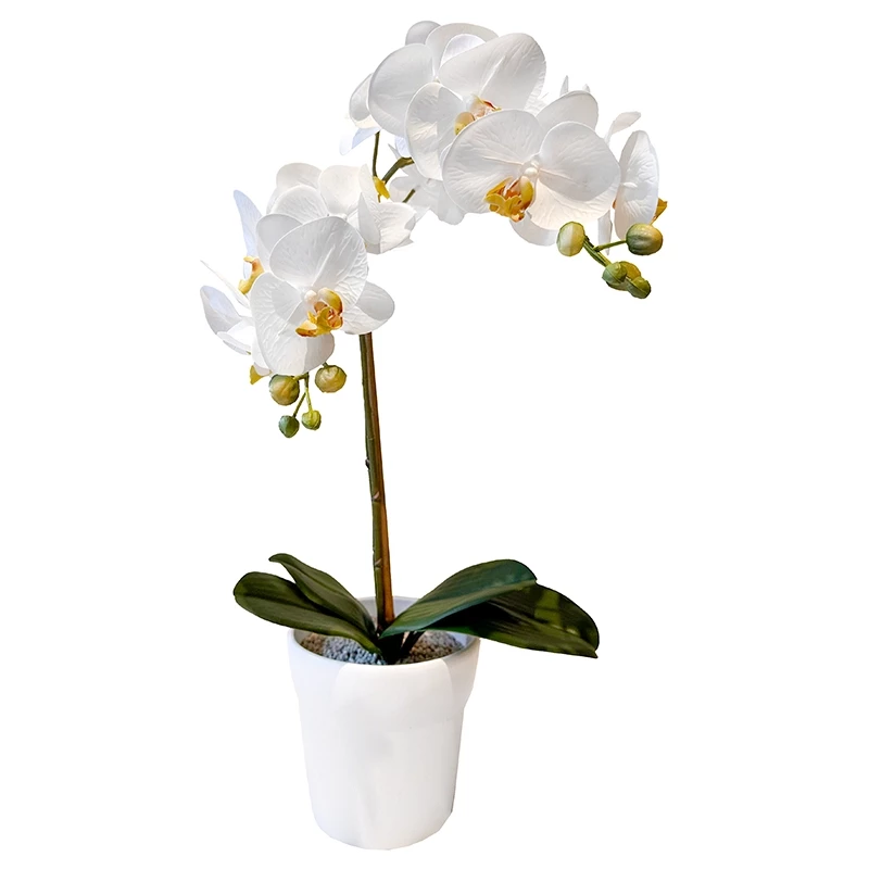 Okide i hvid potte, 65cm, kunstig blomst