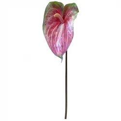 Flamingo blomt, 70cm. kunstig blomst
